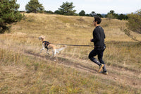 Non-Stop Dogwear Trail Light Belt